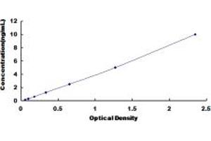 Typical standard curve (PLAGL1 ELISA Kit)