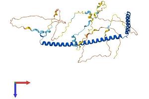 SKA3 Protein (AA 1-412) (His tag)