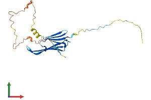 Protein Structure (PS) image for Heat Shock 27kDa Protein 1 (HSPB1) (AA 1-209) protein (His tag) (ABIN7562877)