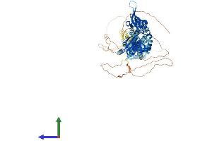 Protein Structure (PS) image for Cyclin M2 (CNNM2) (AA 1-875) protein (His tag) (ABIN7553534)