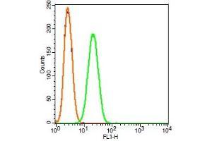 Rat RSC96 cells probed with HIF2 alpha Polyclonal Antibody, FITC conjugated (bs-1447R-FITC) (green) at 1:100 for 30 minutes compared to unstained cells (blue) and isotype control (orange). (EPAS1 Antikörper  (AA 1-130) (FITC))