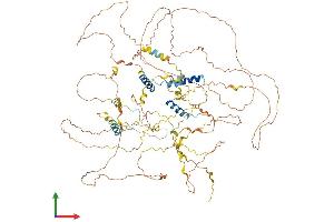 Protein Structure (PS) image for Synaptopodin (SYNPO) (AA 1-929) protein (His tag) (ABIN7555680)