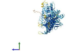 Protein Structure (PS) image for ALS2 C-terminal Like (ALS2CL) (AA 1-952) protein (His tag) (ABIN7563893)