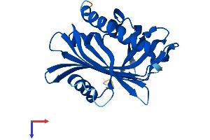 PCTP Protein (AA 1-214) (His tag)