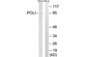 Western Blotting (WB) image for anti-Polymerase (DNA Directed) iota (POLI) (AA 641-690) antibody (ABIN2890266) (POLI Antikörper  (AA 641-690))