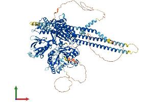AlphaFold protein structure predicition of Mouse Recombinant Plcb1 Protein, UniprotID Q9Z1B3 (Phospholipase C beta 1 Protein (AA 1-1216) (His tag))