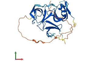 AlphaFold protein structure predicition of Human Recombinant SPIN3 Protein, UniprotID Q5JUX0
