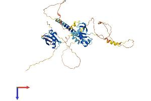 MIDN Protein (AA 1-465) (His tag)