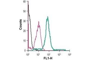 Cell surface detection of CB1 receptor in live intact human THP-1 monocytic leukemia cells: (black line) Cells. (CNR1 Antikörper  (Extracellular) (FITC))