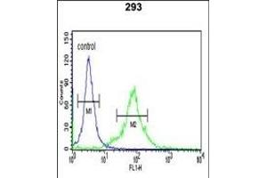 PNUTL2 Antibody (N-term) (ABIN1944842 and ABIN2841726) flow cytometric analysis of 293 cells (right histogram) compared to a negative control cell (left histogram).