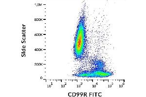 Surface staining of human peripheral blood with anti-CD99R (MEM-131) FITC. (CD99 Antikörper  (FITC))
