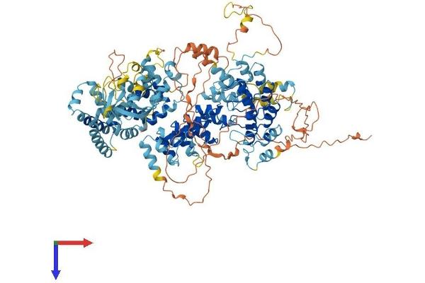 ANKRD27 Protein (AA 1-1048) (His tag)