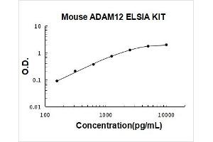 ADAM Metallopeptidase Domain 12 (ADAM12) ELISA Kit