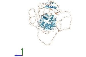AlphaFold protein structure predicition of Human Recombinant ZNF658 Protein, UniprotID Q5TYW1