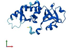 Protein Structure (PS) image for Nuclear Import 7 Homolog (NIP7) (AA 1-180) protein (His tag) (ABIN7560720)