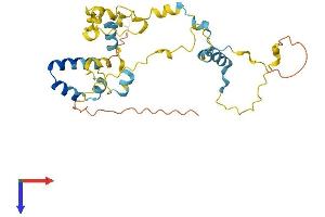AlphaFold protein structure predicition of Mouse Recombinant Tex26 Protein, UniprotID Q0VB26