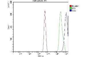 Flow Cytometry analysis of A431 cells using anti-SSB antibody (ABIN7602125). (SSB Antikörper  (AA 6-283))