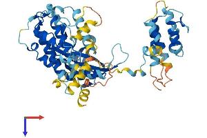 MAPKAP Kinase 5 Protein (AA 1-473) (His tag)