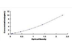 Typical standard curve (IL1R1 ELISA Kit)