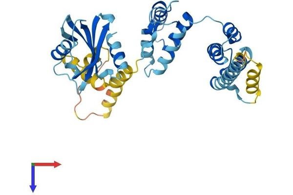 PNMA1 Protein (AA 1-353) (His tag)