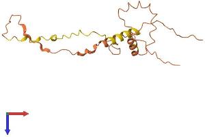 AlphaFold protein structure predicition of Human Recombinant LINC01356 Protein, UniprotID Q8N9X3