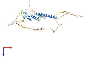 TACI Protein (AA 1-293) (His tag)