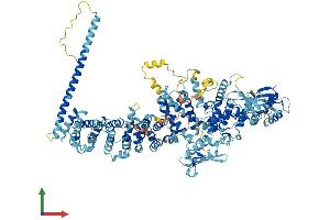Protein Structure (PS) image for Ubiquitin Protein Ligase E3C (UBE3C) (AA 1-1083) protein (His tag) (ABIN7555877)