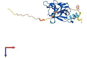 FGF20 Protein (AA 1-211) (His tag)