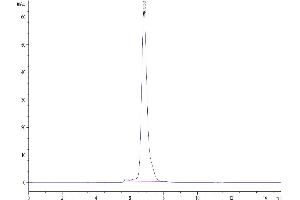 The purity of Human LIGHT is greater than 95 % as determined by SEC-HPLC. (TNFSF14 Protein (AA 74-240) (Fc Tag))