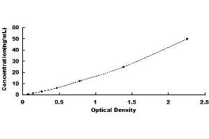 Typical standard curve (TLR7 ELISA Kit)