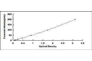 Typical standard curve (HSP70 ELISA Kit)