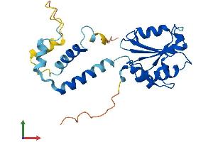 Protein Structure (PS) image for Phosducin (PDC) (AA 1-246) protein (His tag) (ABIN7550795)