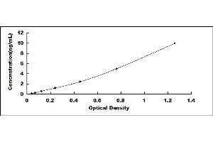Typical standard curve (PPM1D ELISA Kit)
