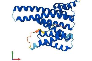 AlphaFold protein structure predicition of Human Recombinant YWHAE Protein, UniprotID P62258