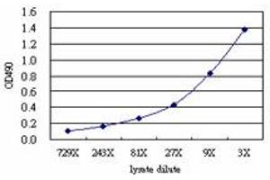 Sandwich ELISA detection sensitivity ranging from approximately 81x to 3x dilution of the ATP6AP1 293T overexpression lysate (non-denatured).