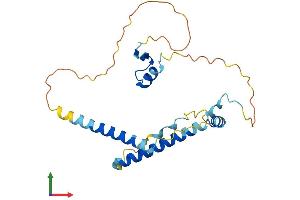 Protein Structure (PS) image for Lin-37 Homolog (LIN37) (AA 1-246) protein (His tag) (ABIN7549089)