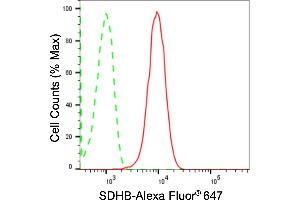 Flow cytometric analysis of SDHB expression in HepG2 cells using SDHB antibody (ABIN7800454), 1:2,000). (Rekombinanter SDHB Antikörper)