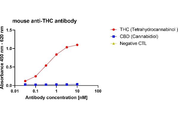 Rekombinanter THC Antikörper