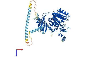 CSGALNACT1 Protein (AA 1-532) (His tag)