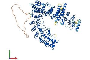 Protein Structure (PS) image for Fem-1 Homolog A (FEM1A) (AA 1-669) protein (His tag) (ABIN7547720)