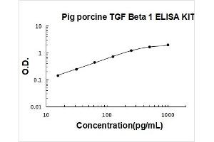 Pig TGF beta 1 PicoKine ELISA Kit standard curve