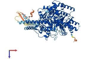 CPT1B Protein (AA 1-772) (His tag)