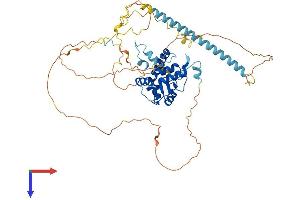 ARFGAP3 Protein (AA 1-516) (His tag)