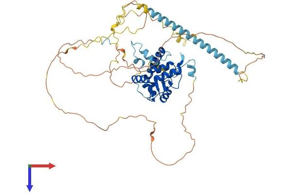 ARFGAP3 Protein (AA 1-516) (His tag)