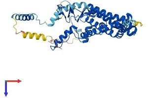 AlphaFold protein structure predicition of Human Recombinant ZDHHC16 Protein, UniprotID Q969W1