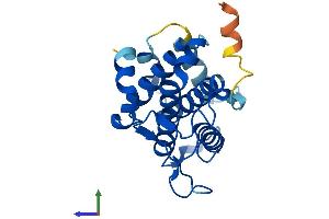 Protein Structure (PS) image for MOB Kinase Activator 3B (MOB3B) (AA 1-216) protein (His tag) (ABIN7559880)