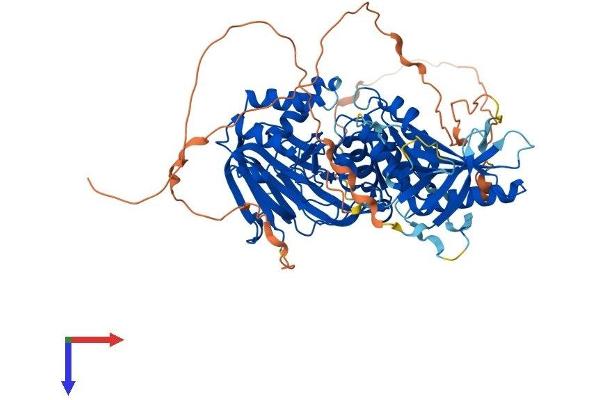 SPHK2 Protein (AA 1-654) (His tag)