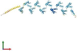AlphaFold protein structure predicition of Human Recombinant ZNF493 Protein, UniprotID Q6ZR52
