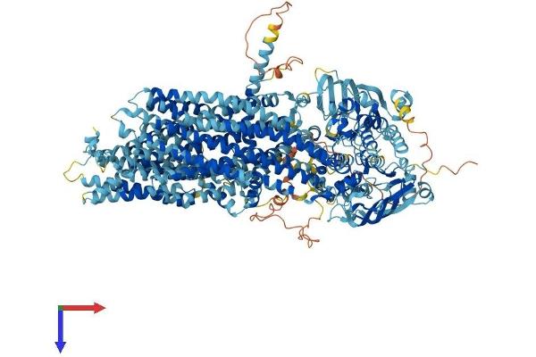 ABCC2 Protein (AA 1-1545) (His tag)