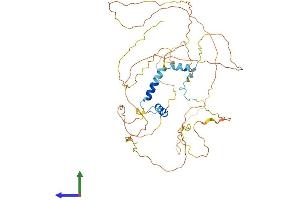 Protein Structure (PS) image for GC-Rich Promoter Binding Protein 1 (GPBP1) (AA 1-473) protein (His tag) (ABIN7548125)